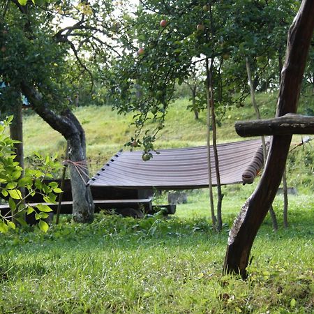 Садиба Під Гострою Zhdeniievo Luaran gambar